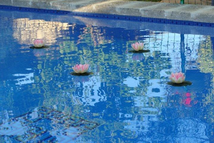 Arcas De Agua Hotel Ngoại thất bức ảnh
